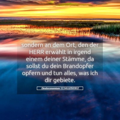 Picture 05 - Deuteronomium 12:14 LUTH1912 - sondern an dem Ort, den der HERR erwählt in - Bible Verse Picture