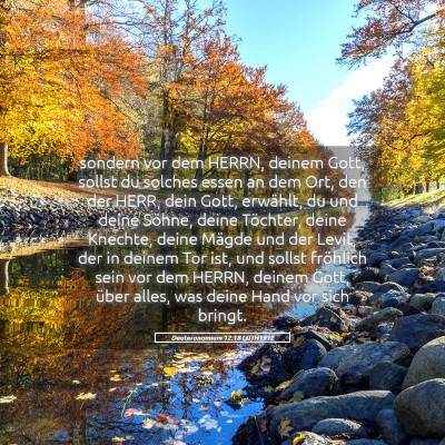 Picture 05 - Deuteronomium 12:18 LUTH1912 - sondern vor dem HERRN, deinem Gott, sollst du - Bible Verse Picture