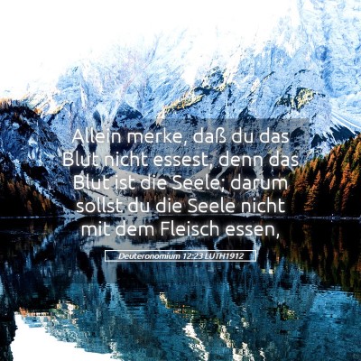 Picture 05 - Deuteronomium 12:23 LUTH1912 - Allein merke, daß du das Blut nicht essest, denn - Bible Verse Picture