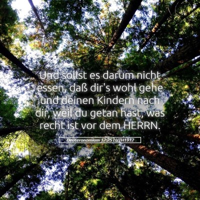 Picture 05 - Deuteronomium 12:25 LUTH1912 - Und sollst es darum nicht essen, daß dir's wohl - Bible Verse Picture