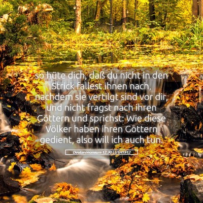 Picture 05 - Deuteronomium 12:30 LUTH1912 - so hüte dich, daß du nicht in den Strick - Bible Verse Picture