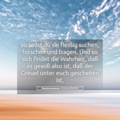 Picture 05 - Deuteronomium 13:14 LUTH1912 - so sollst du sie fleißig suchen, forschen und - Bible Verse Picture