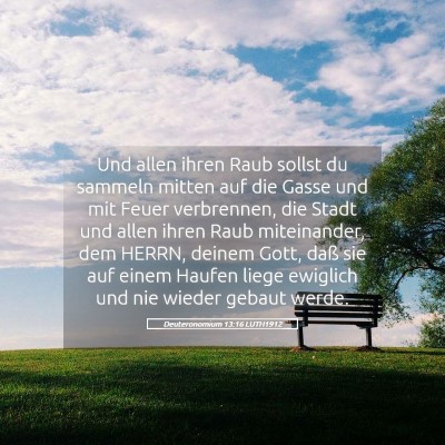 Picture 05 - Deuteronomium 13:16 LUTH1912 - Und allen ihren Raub sollst du sammeln mitten auf - Bible Verse Picture