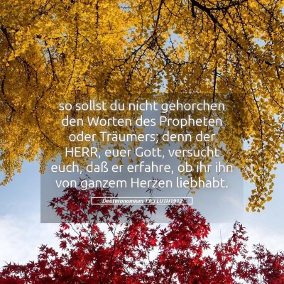 Picture 05 - Deuteronomium 13:3 LUTH1912 - so sollst du nicht gehorchen den Worten des - Bible Verse Picture