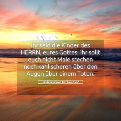 Picture 05 - Deuteronomium 14:1 LUTH1912 - Ihr seid die Kinder des HERRN, eures Gottes; ihr - Bible Verse Picture