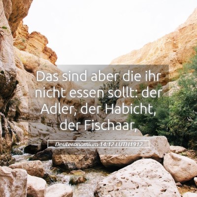 Picture 05 - Deuteronomium 14:12 LUTH1912 - Das sind aber die ihr nicht essen sollt: der - Bible Verse Picture