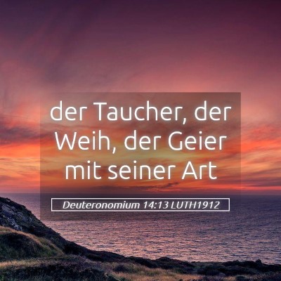 Picture 05 - Deuteronomium 14:13 LUTH1912 - der Taucher, der Weih, der Geier mit seiner - Bible Verse Picture