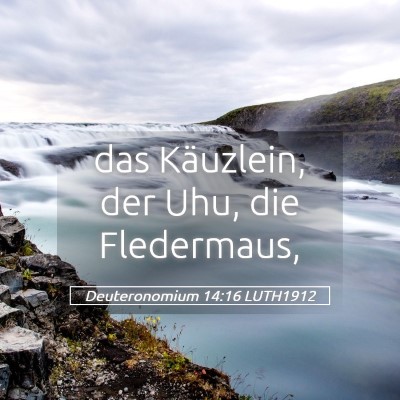 Picture 05 - Deuteronomium 14:16 LUTH1912 - das Käuzlein, der Uhu, die - Bible Verse Picture