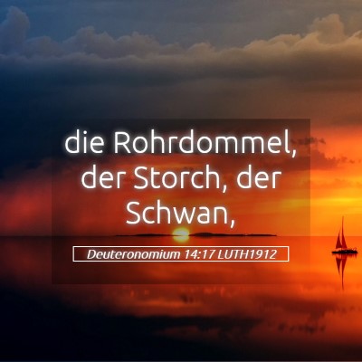 Picture 05 - Deuteronomium 14:17 LUTH1912 - die Rohrdommel, der Storch, der - Bible Verse Picture