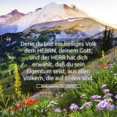 Picture 05 - Deuteronomium 14:2 LUTH1912 - Denn du bist ein heiliges Volk dem HERRN, deinem - Bible Verse Picture