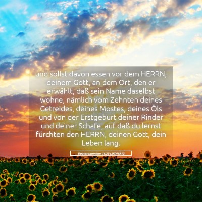 Picture 05 - Deuteronomium 14:23 LUTH1912 - und sollst davon essen vor dem HERRN, deinem - Bible Verse Picture