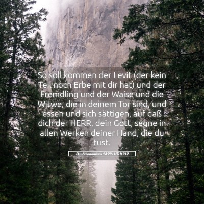 Picture 05 - Deuteronomium 14:29 LUTH1912 - So soll kommen der Levit (der kein Teil noch Erbe - Bible Verse Picture