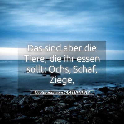 Picture 05 - Deuteronomium 14:4 LUTH1912 - Das sind aber die Tiere, die ihr essen sollt: - Bible Verse Picture