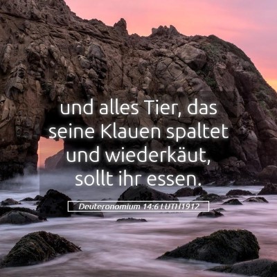 Picture 05 - Deuteronomium 14:6 LUTH1912 - und alles Tier, das seine Klauen spaltet und - Bible Verse Picture