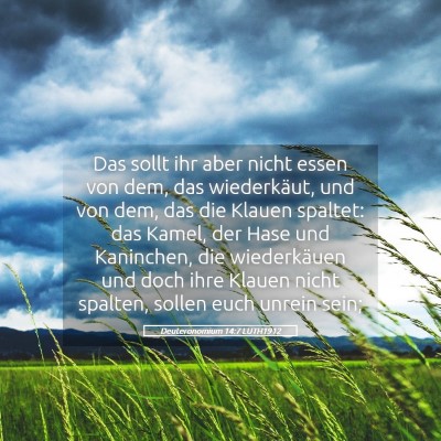 Picture 05 - Deuteronomium 14:7 LUTH1912 - Das sollt ihr aber nicht essen von dem, das - Bible Verse Picture