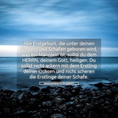 Picture 05 - Deuteronomium 15:19 LUTH1912 - Alle Erstgeburt, die unter deinen Rindern und - Bible Verse Picture