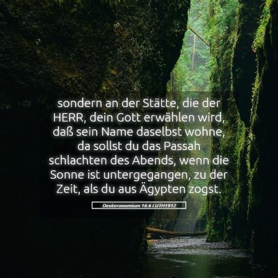 Picture 05 - Deuteronomium 16:6 LUTH1912 - sondern an der Stätte, die der HERR, dein Gott - Bible Verse Picture