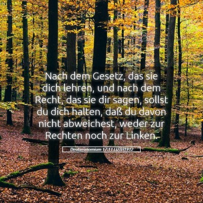 Picture 05 - Deuteronomium 17:11 LUTH1912 - Nach dem Gesetz, das sie dich lehren, und nach - Bible Verse Picture