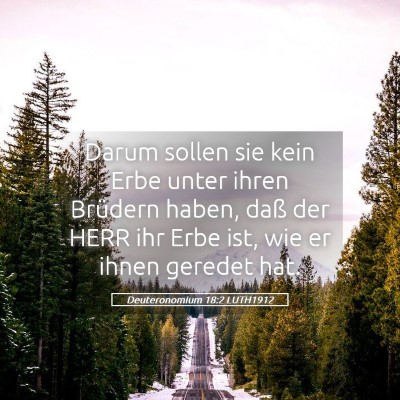 Picture 05 - Deuteronomium 18:2 LUTH1912 - Darum sollen sie kein Erbe unter ihren Brüdern - Bible Verse Picture