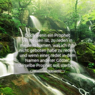 Picture 05 - Deuteronomium 18:20 LUTH1912 - Doch wenn ein Prophet vermessen ist, zu reden in - Bible Verse Picture