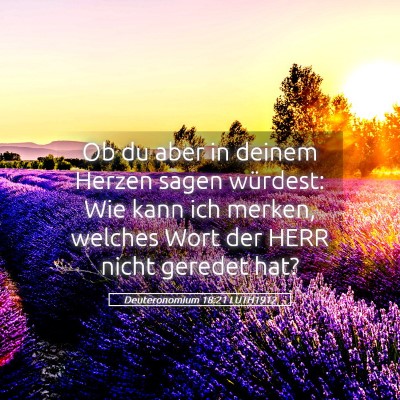 Picture 05 - Deuteronomium 18:21 LUTH1912 - Ob du aber in deinem Herzen sagen würdest: Wie - Bible Verse Picture