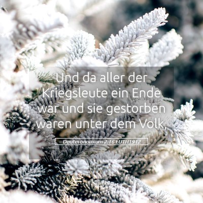 Picture 05 - Deuteronomium 2:16 LUTH1912 - Und da aller der Kriegsleute ein Ende war und sie - Bible Verse Picture