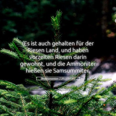 Picture 05 - Deuteronomium 2:20 LUTH1912 - (Es ist auch gehalten für der Riesen Land, und - Bible Verse Picture