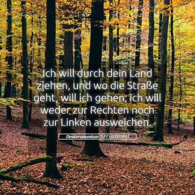 Picture 05 - Deuteronomium 2:27 LUTH1912 - Ich will durch dein Land ziehen, und wo die - Bible Verse Picture