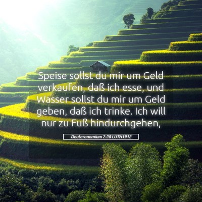 Picture 05 - Deuteronomium 2:28 LUTH1912 - Speise sollst du mir um Geld verkaufen, daß ich - Bible Verse Picture
