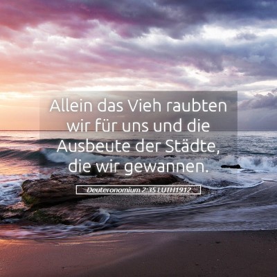 Picture 05 - Deuteronomium 2:35 LUTH1912 - Allein das Vieh raubten wir für uns und die - Bible Verse Picture