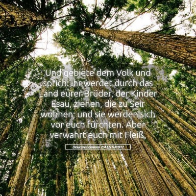 Picture 05 - Deuteronomium 2:4 LUTH1912 - Und gebiete dem Volk und sprich: ihr werdet durch - Bible Verse Picture