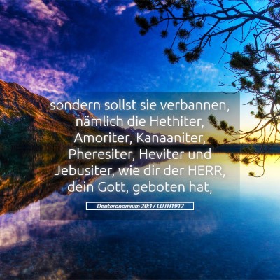 Picture 05 - Deuteronomium 20:17 LUTH1912 - sondern sollst sie verbannen, nämlich die - Bible Verse Picture