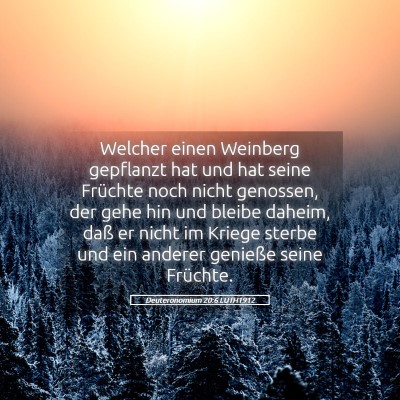 Picture 05 - Deuteronomium 20:6 LUTH1912 - Welcher einen Weinberg gepflanzt hat und hat - Bible Verse Picture