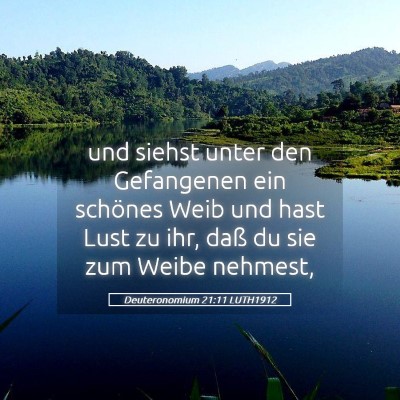 Picture 05 - Deuteronomium 21:11 LUTH1912 - und siehst unter den Gefangenen ein schönes Weib - Bible Verse Picture