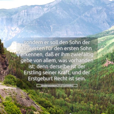 Picture 05 - Deuteronomium 21:17 LUTH1912 - sondern er soll den Sohn der unwerten für den - Bible Verse Picture