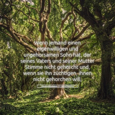 Picture 05 - Deuteronomium 21:18 LUTH1912 - Wenn jemand einen eigenwilligen und ungehorsamen - Bible Verse Picture