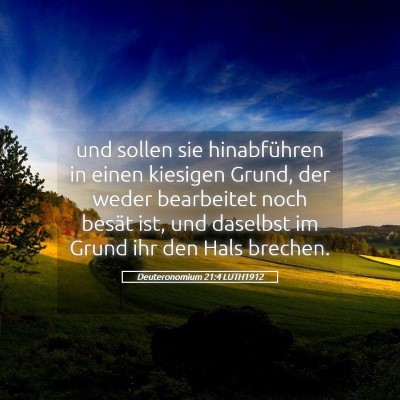 Picture 05 - Deuteronomium 21:4 LUTH1912 - und sollen sie hinabführen in einen kiesigen - Bible Verse Picture