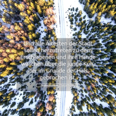 Picture 05 - Deuteronomium 21:6 LUTH1912 - Und alle Ältesten der Stadt sollen herzutreten - Bible Verse Picture