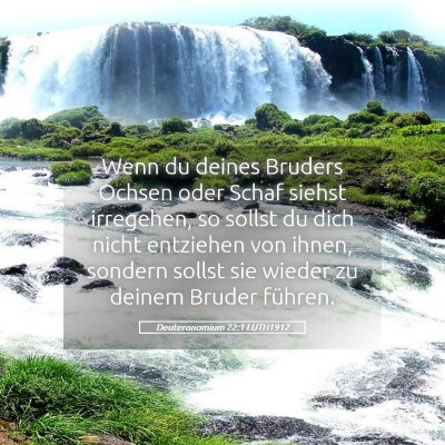 Picture 05 - Deuteronomium 22:1 LUTH1912 - Wenn du deines Bruders Ochsen oder Schaf siehst - Bible Verse Picture