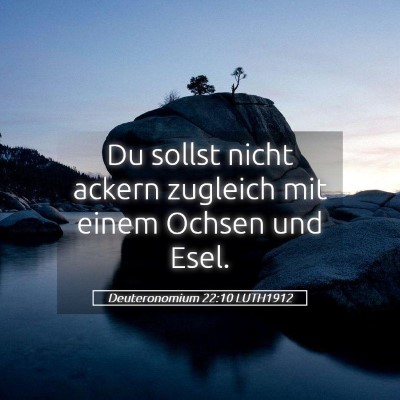 Picture 05 - Deuteronomium 22:10 LUTH1912 - Du sollst nicht ackern zugleich mit einem Ochsen - Bible Verse Picture