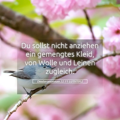 Picture 05 - Deuteronomium 22:11 LUTH1912 - Du sollst nicht anziehen ein gemengtes Kleid, von - Bible Verse Picture
