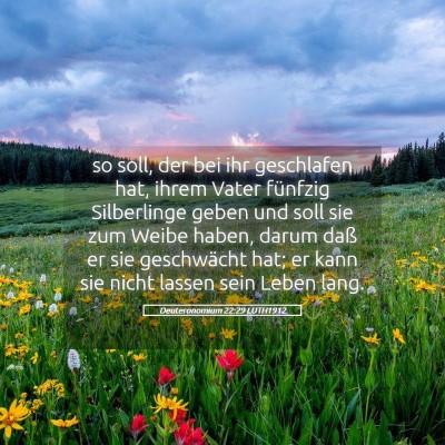 Picture 05 - Deuteronomium 22:29 LUTH1912 - so soll, der bei ihr geschlafen hat, ihrem Vater - Bible Verse Picture