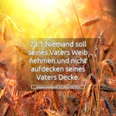 Picture 05 - Deuteronomium 22:30 LUTH1912 - 23:1 Niemand soll seines Vaters Weib nehmen und - Bible Verse Picture