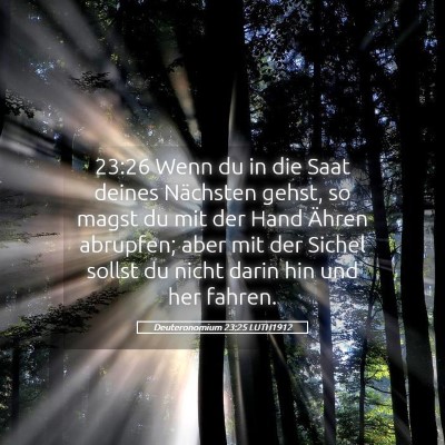 Picture 05 - Deuteronomium 23:25 LUTH1912 - 23:26 Wenn du in die Saat deines Nächsten gehst, - Bible Verse Picture