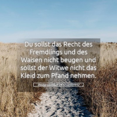 Picture 05 - Deuteronomium 24:17 LUTH1912 - Du sollst das Recht des Fremdlings und des Waisen - Bible Verse Picture