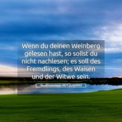 Picture 05 - Deuteronomium 24:21 LUTH1912 - Wenn du deinen Weinberg gelesen hast, so sollst - Bible Verse Picture