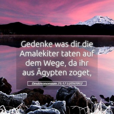 Picture 05 - Deuteronomium 25:17 LUTH1912 - Gedenke was dir die Amalekiter taten auf dem - Bible Verse Picture