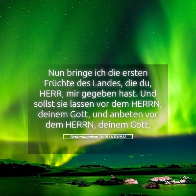 Picture 05 - Deuteronomium 26:10 LUTH1912 - Nun bringe ich die ersten Früchte des Landes, - Bible Verse Picture
