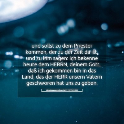 Picture 05 - Deuteronomium 26:3 LUTH1912 - und sollst zu dem Priester kommen, der zu der - Bible Verse Picture