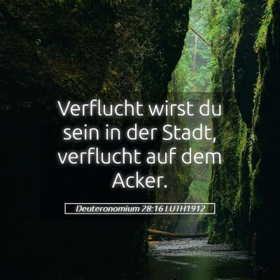 Picture 05 - Deuteronomium 28:16 LUTH1912 - Verflucht wirst du sein in der Stadt, verflucht - Bible Verse Picture